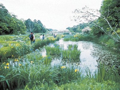 🏞️ 시만토시 잠자리 자연공원 (시만토시 톤보 시젠코엔) 이미지 2